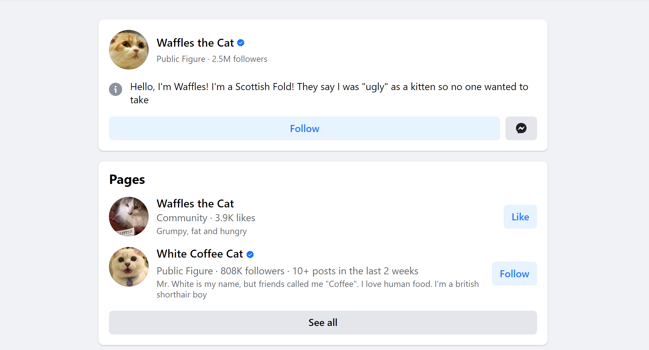 How To Target Cat Owners On Facebook Ads