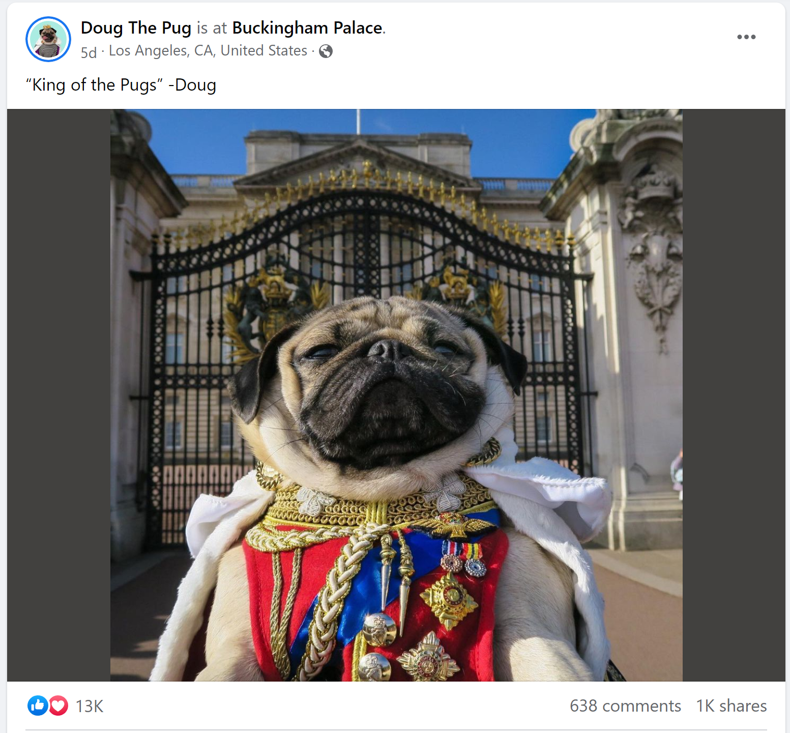 make-a-facebook-page-for-my-dog
